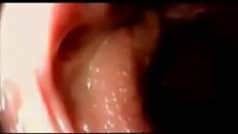 Intense Anal And Vaginal Pounding With Hot Cum Inside