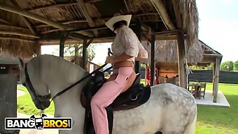 Rachel Starr'S Impressive Riding Skills On A Horse And A Penis