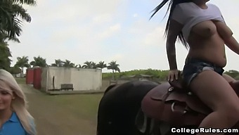 Young University Women Pleasure Their Male Classmate In An Erotic Encounter